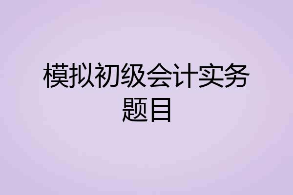 模拟初级会计实务题目