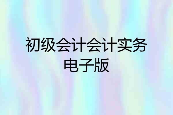 初级会计会计实务电子版
