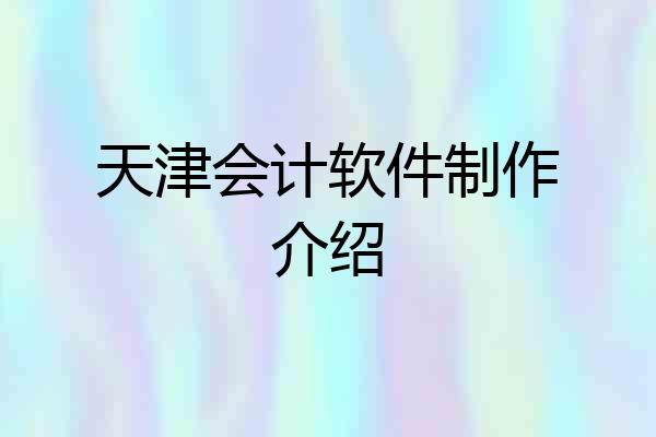 天津会计软件制作介绍