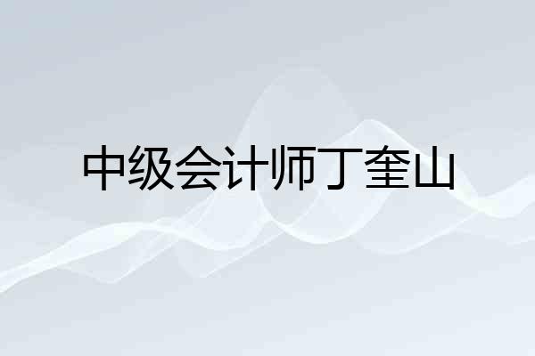 中级会计师丁奎山