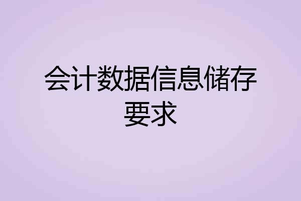 会计数据信息储存要求