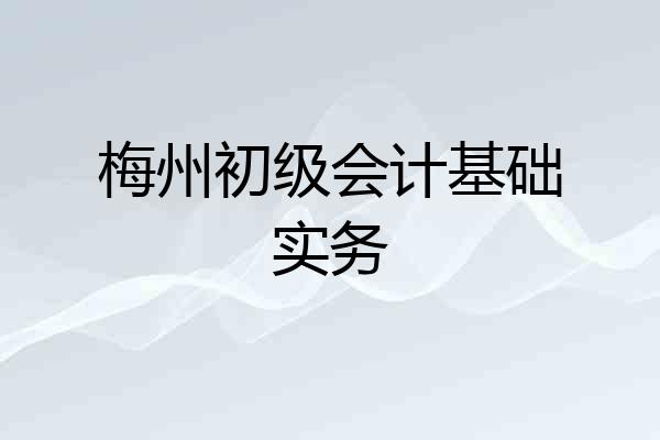 梅州初级会计基础实务