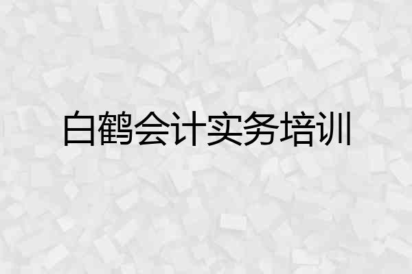 白鹤会计实务培训