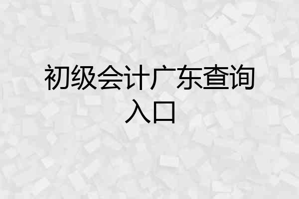 初级会计广东查询入口