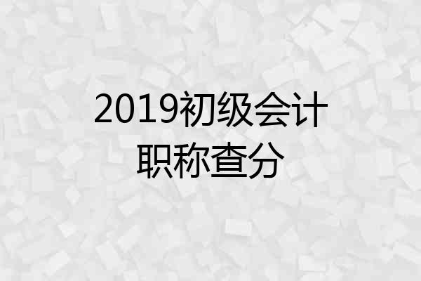 2019初级会计职称查分