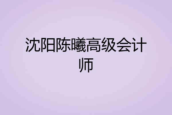沈阳陈曦高级会计师