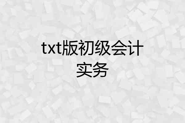 txt版初级会计实务