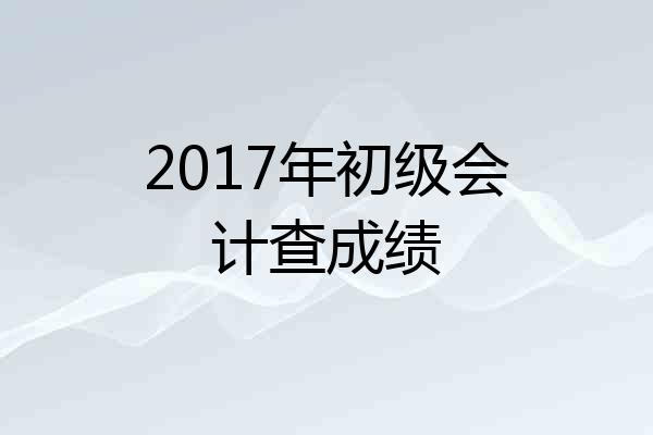 2017年初级会计查成绩