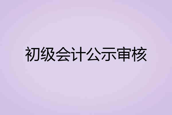 初级会计公示审核