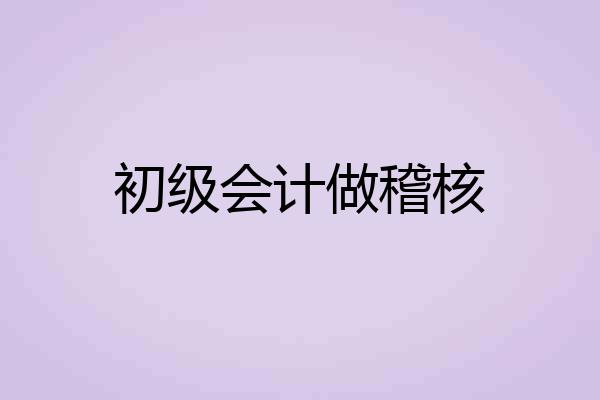 初级会计做稽核