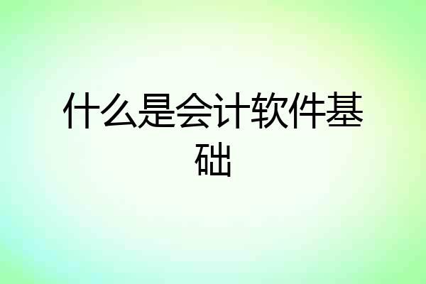 什么是会计软件基础