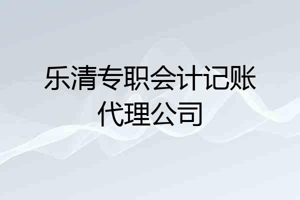 乐清专职会计记账代理公司