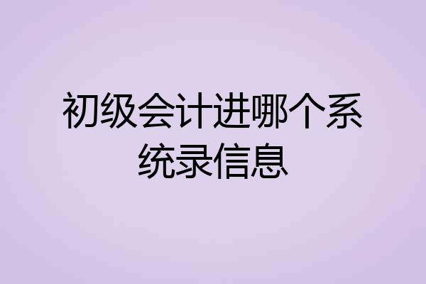 初级会计进哪个系统录信息