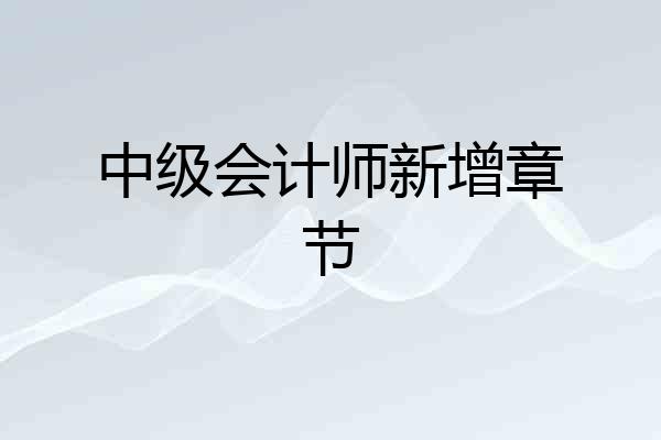 中级会计师新增章节