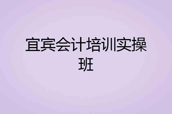 宜宾会计培训实操班