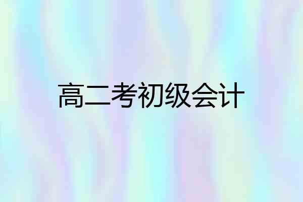 高二考初级会计