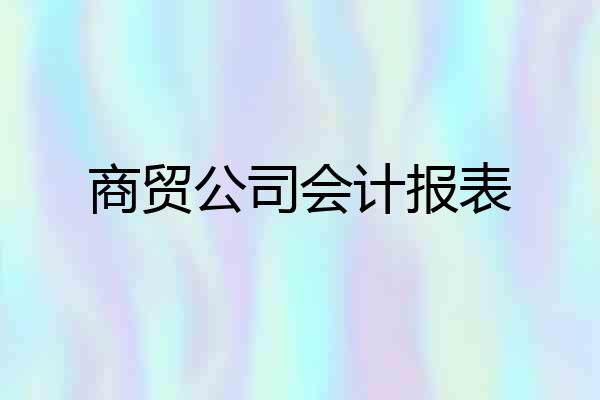 商贸公司会计报表