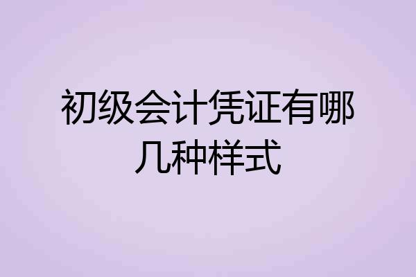 初级会计凭证有哪几种样式