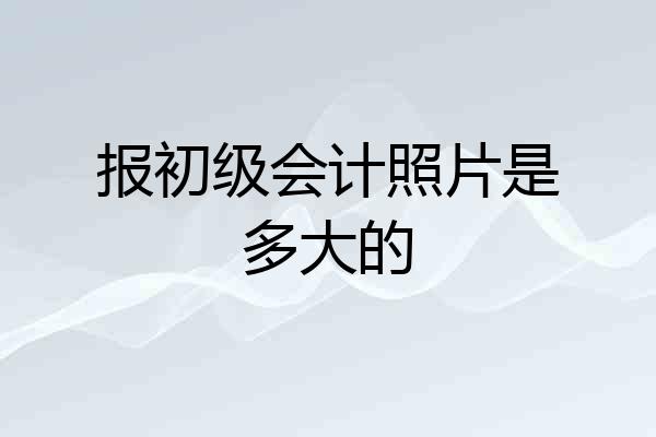 报初级会计照片是多大的