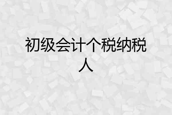 初级会计个税纳税人