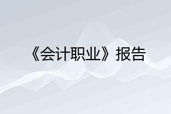 《会计职业》报告