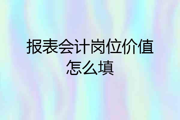 报表会计岗位价值怎么填