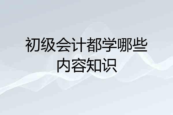 初级会计都学哪些内容知识