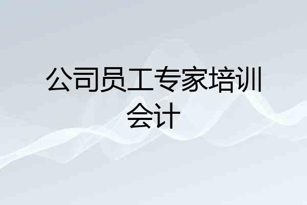 公司员工专家培训会计