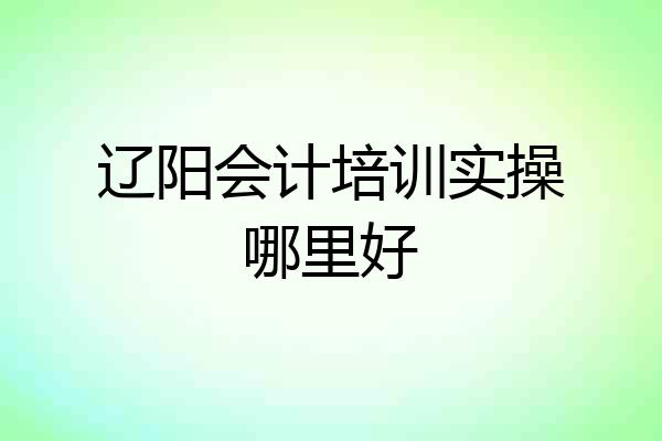 辽阳会计培训实操哪里好