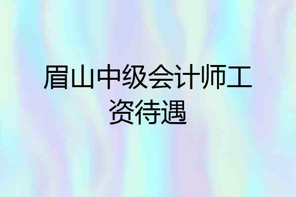 眉山中级会计师工资待遇