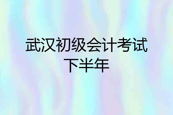 武汉初级会计考试下半年