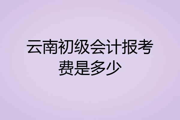 云南初级会计报考费是多少