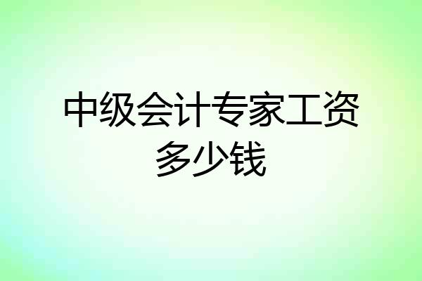 中级会计专家工资多少钱