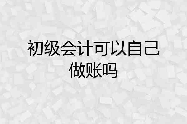 初级会计可以自己做账吗