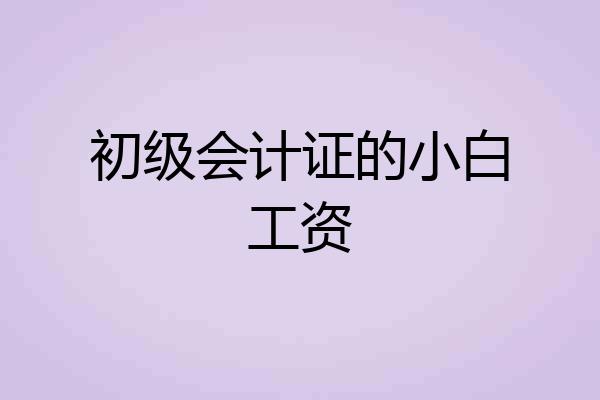 初级会计证的小白工资