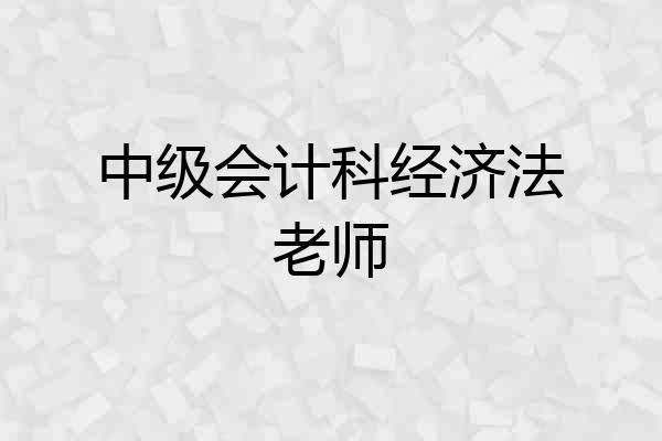中级会计科经济法老师