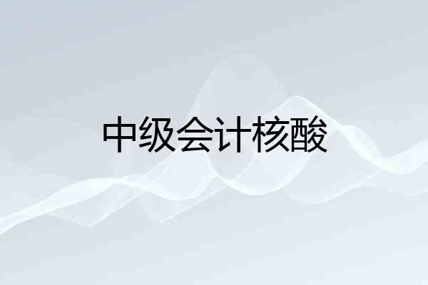 中级会计核酸