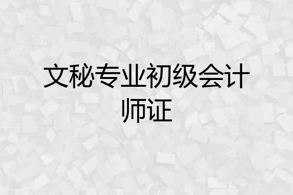 文秘专业初级会计师证