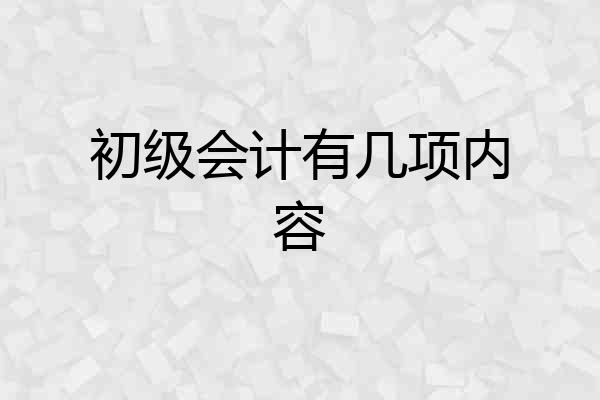 初级会计有几项内容