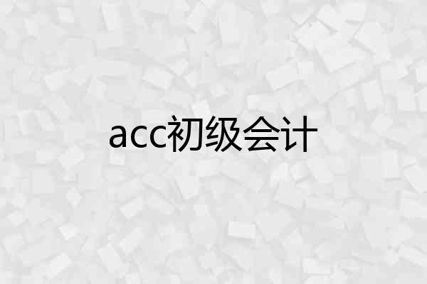 acc初级会计