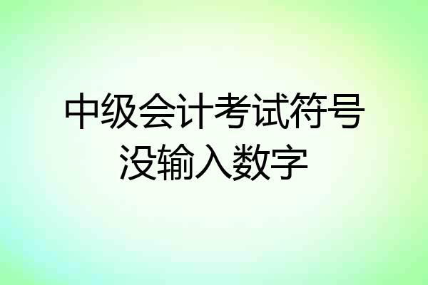 中级会计考试符号没输入数字