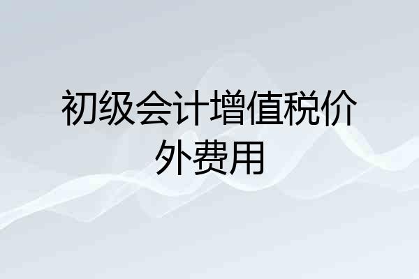 初级会计增值税价外费用