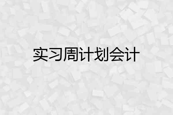 实习周计划会计