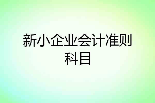 新小企业会计准则科目