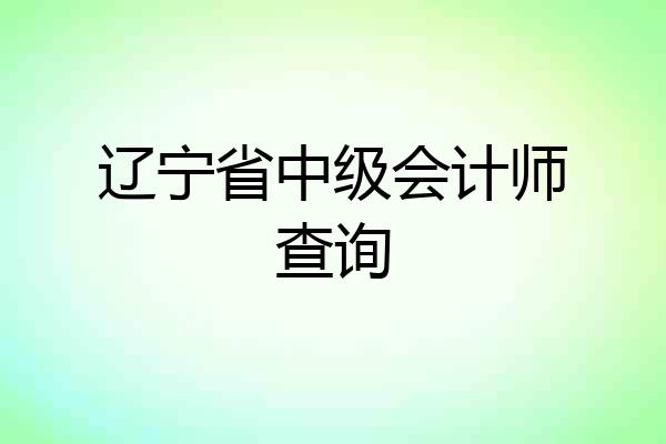 辽宁省中级会计师查询