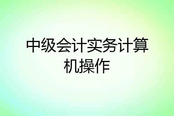 中级会计实务计算机操作