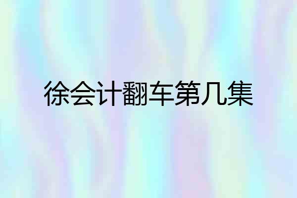 徐会计翻车第几集