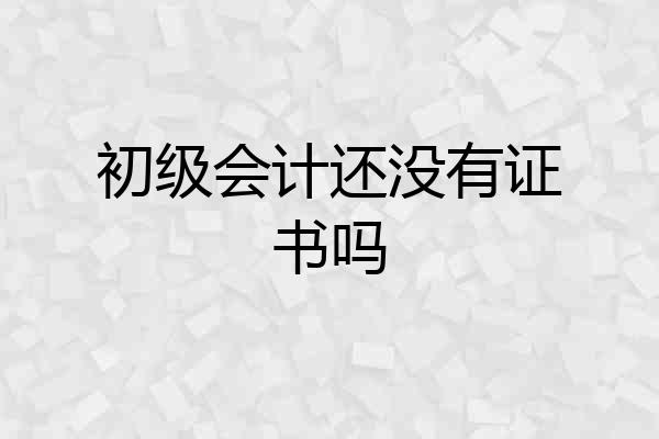 初级会计还没有证书吗