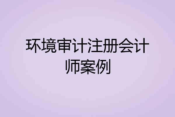 环境审计注册会计师案例