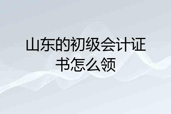 山东的初级会计证书怎么领
